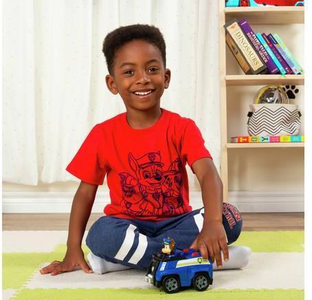 Actual product image Spin Master Paw Patrol Basic Vehicle Chase