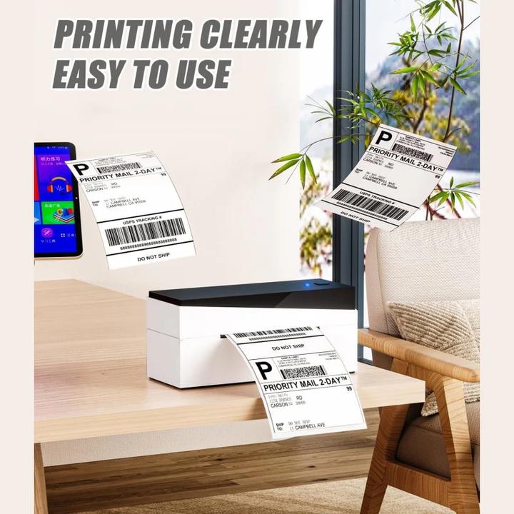 Image du produit Phomemo Versandetiketten 10,2 x 15,2 cm für PM-246/PM-246 Pro (500 Stk.)