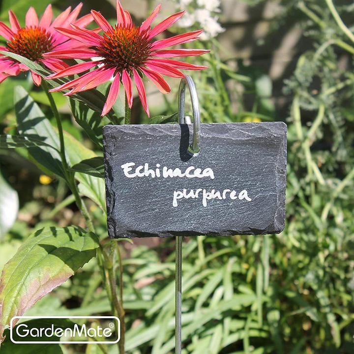 Produktbild GardenMate 10er Set Pflanzenschilder (55 cm, 7 cm)