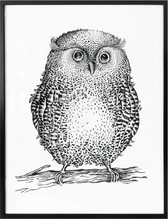 Produktbild Trenddeko Kvilis - Eule 02 (40 x 50 cm)