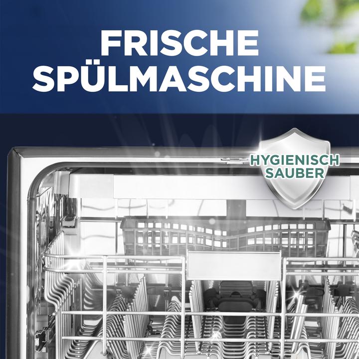 Actual product image Finish Machine maintainer (Tabs)