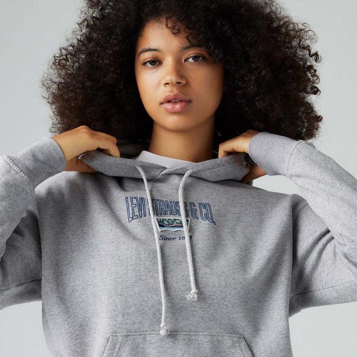 Produktbild Levis Heritage Kapuzenpullover (S)