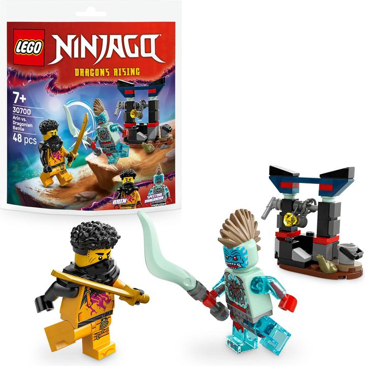 Actual product image LEGO 30700 Arins Duell mit dem Drachenmenschen (30700, LEGO Ninjago)