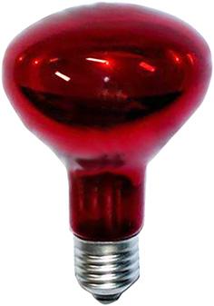 Scharnberger+Hasenbein Infrarot-Wärmelampe R80 (100 W)