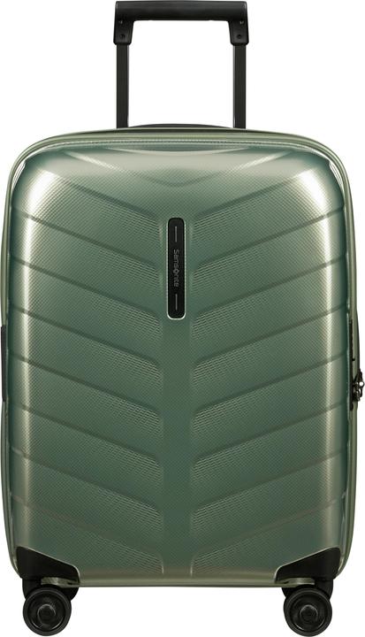 Basil green