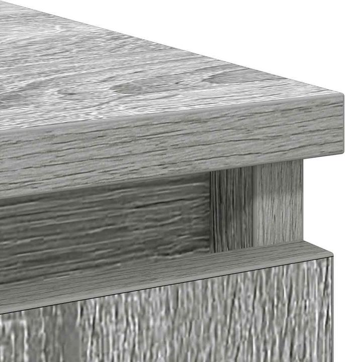 Actual product image vidaXL Ragnar