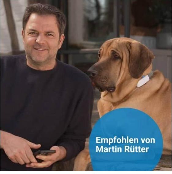 Produktbild Tractive Dog 4 GPS Tracker für Hunde (Hund, Allgemein)