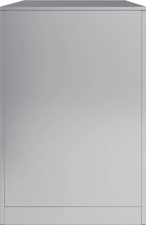 Actual product image vidaXL Brennholzregal (100 x 40 x 60 cm)