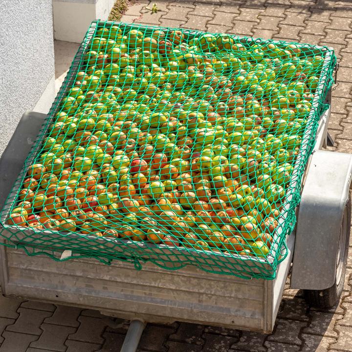 Image du produit Wiltec XPOtool Filet Remorque 2,5x1,5 m Maille 45x45mm Épaisseur 3m Polypropylène résistant Transport Sécur