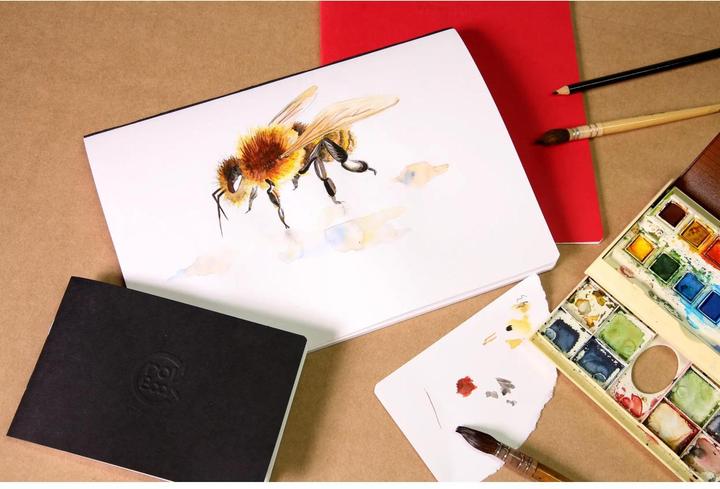 Image du produit Clairefontaine Techniques sèches (B3, Couverture rigide)