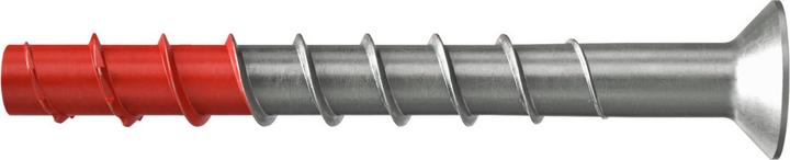 Actual product image Fischer 558246 (50 Screws per piece)