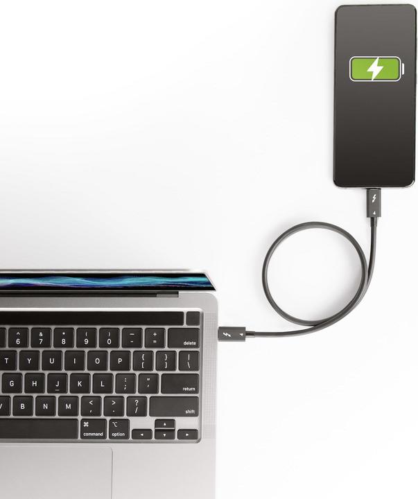 Image du produit StarTech CÂBLE THUNDERBOLT DE 1.6FT (50CM) (0.50 m, USB 4.0, 100 W)