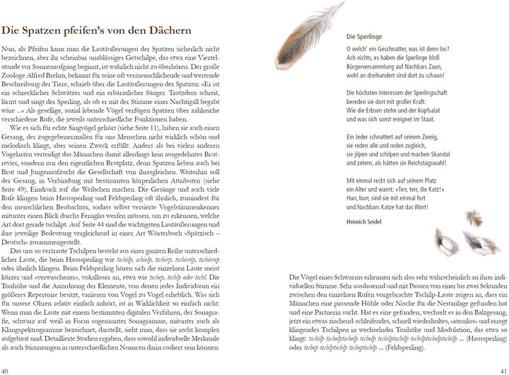 Produktbild Mehr Platz für den Spatz! (Deutsch, Christopher Schmidt, Uwe Westphal, 2017)