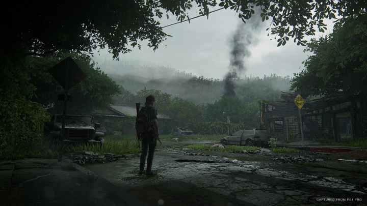 Produktbild Sony The Last of Us Part II (2) (PS4, EN)