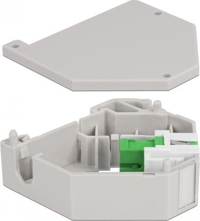 Immagine prodotto Delock Adattatore per guida top-hat con presa Keystone SC simplex a presa SC simplex verde