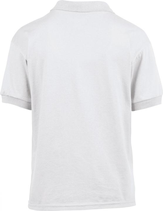 Actual product image Gildan Dryblend (12XL)