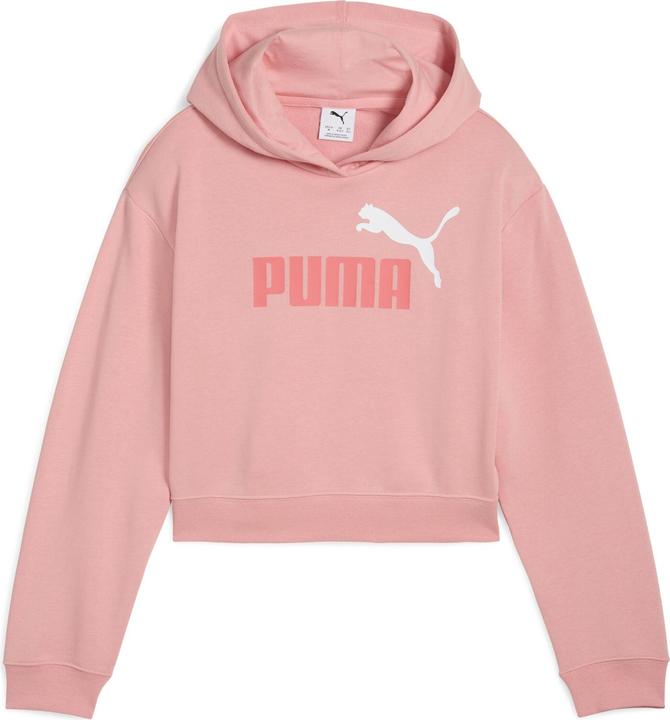 Actual product image Puma ESS 2 COLOR No. 1 Logo Short Length Hoodie TR G (164)