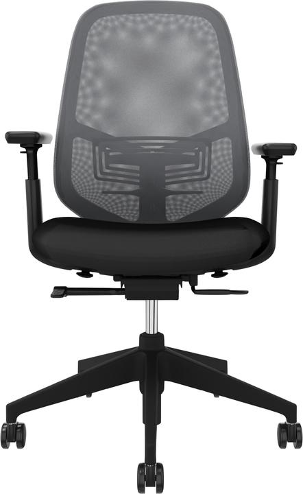 Haworth Aloha Pro