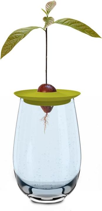 Produktbild Romberg Avocado Kit