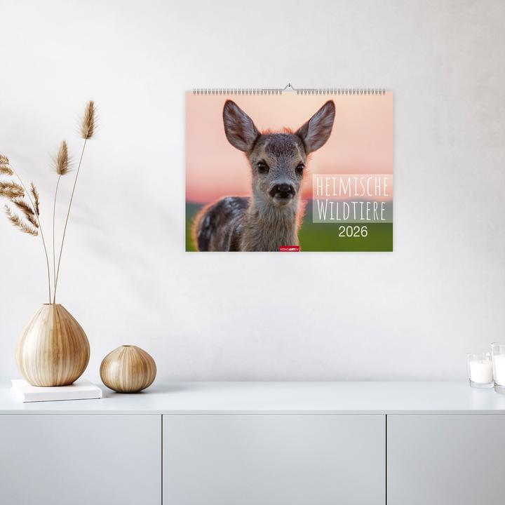 Actual product image Heimische Wildtiere Kalender 2026 (44 x 34 cm)