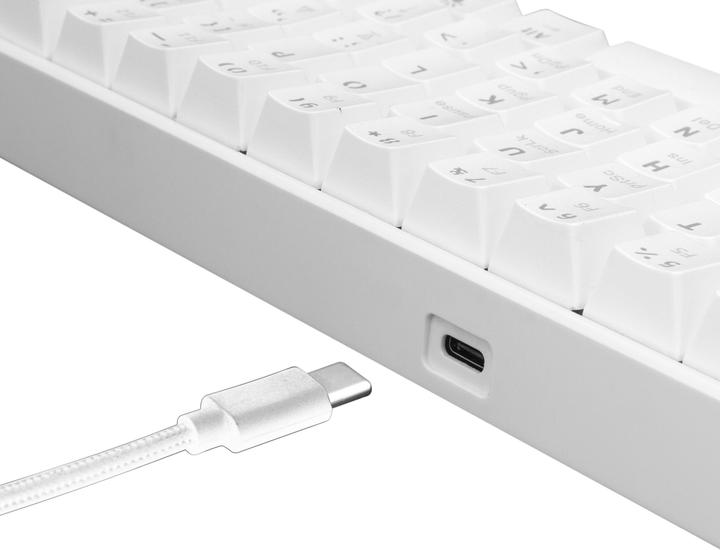 Actual product image White Shark Shinobi (US, Cable)