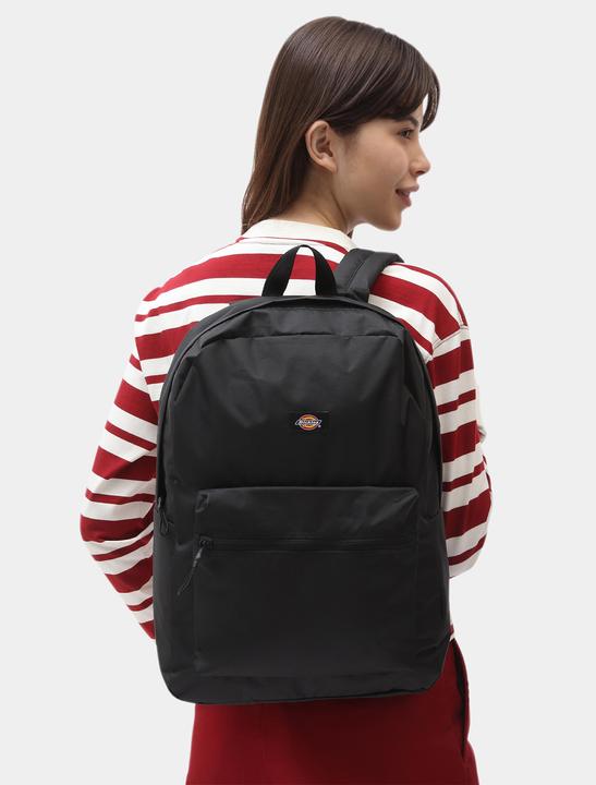 Image du produit Dickies Chickaloon Noir