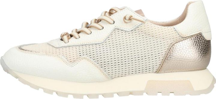 Image du produit Hispanitas Sneaker (36)