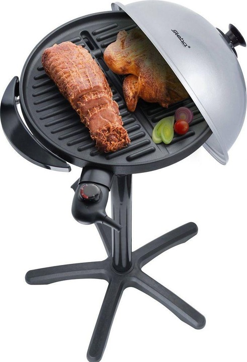 Actual product image Steba Vg 250 (1.80 kW)
