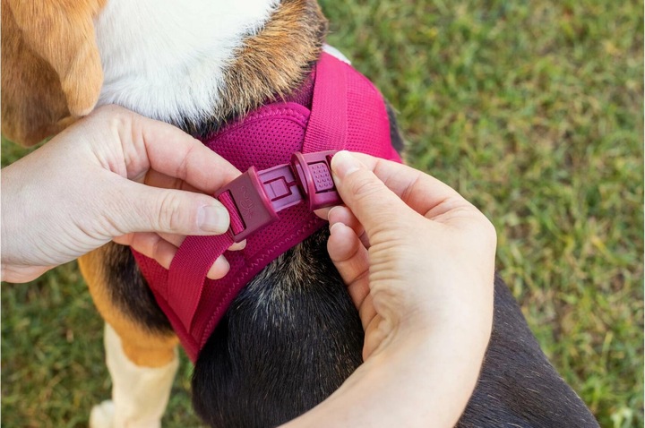 Produktbild Curli Geschirr Vest Air-Mesh 2XS, Ruby (XXS, Hund, Allgemein)