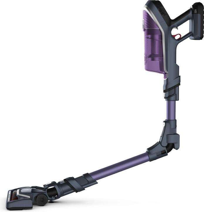 Rowenta XForce Flex 860 Allergy Aspirateur à batterie