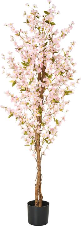 Immagine prodotto Beliani Sakura (185 cm)