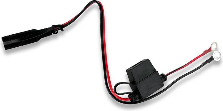 Produktbild Everactive CBC-1 (12V, 6V, 1 A)