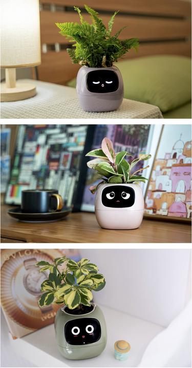 Productafbeelding Plantsio Ivy Smart Planter (10.01 cm)