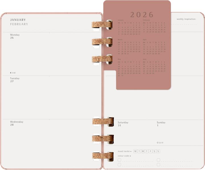 Productafbeelding Moleskine 12M Spiral Life 2026 LG Almo (13 x 21 cm, Engels)