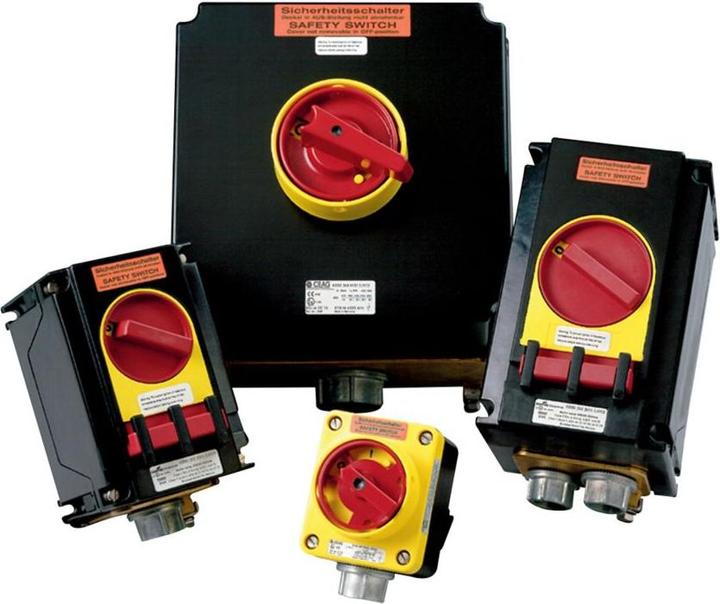 Immagine prodotto Ceag Interruttore di sicurezza (Case)