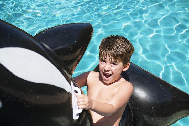 Actual product image Bestway Floating animal