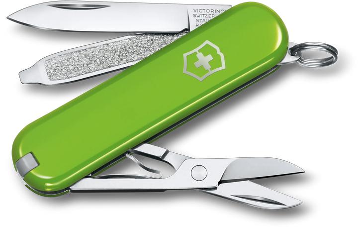 Image du produit Victorinox Cellidor