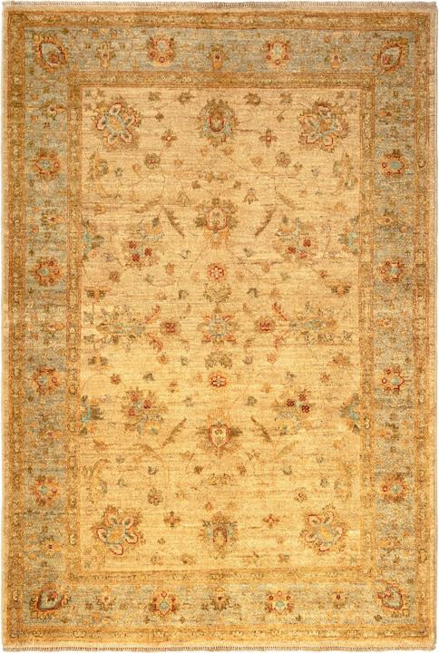 Produktbild Vidal Ziegler