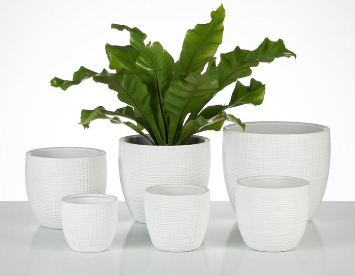 Actual product image Scheurich Flowerpot (19 cm)