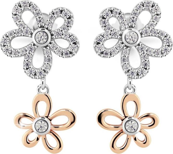 Image du produit Modesi Boucles d'oreilles J219CZ-R