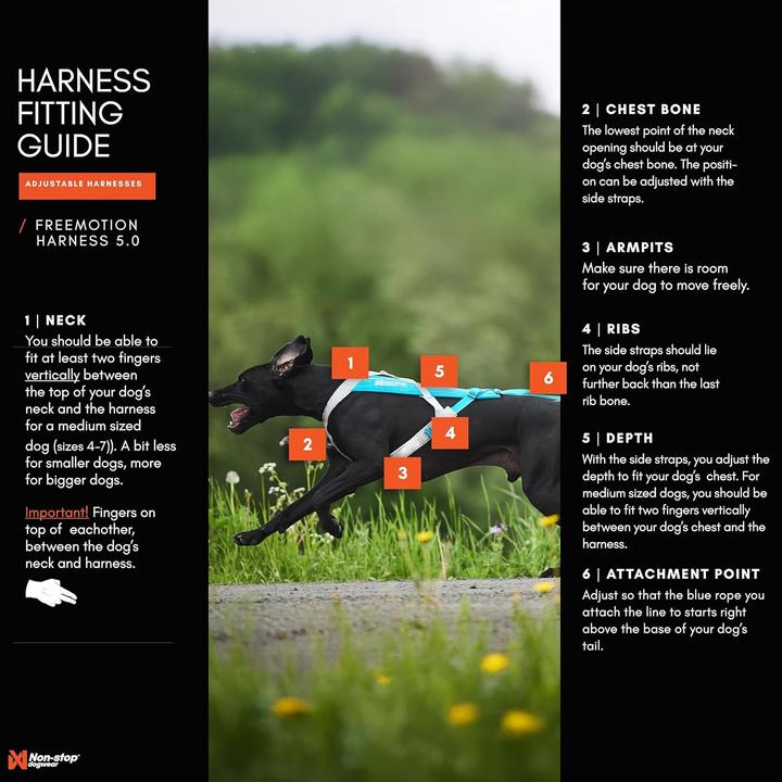 Image du produit Non-Stop Dogwear Harnais Freemotion 5.0 (S, Chien)