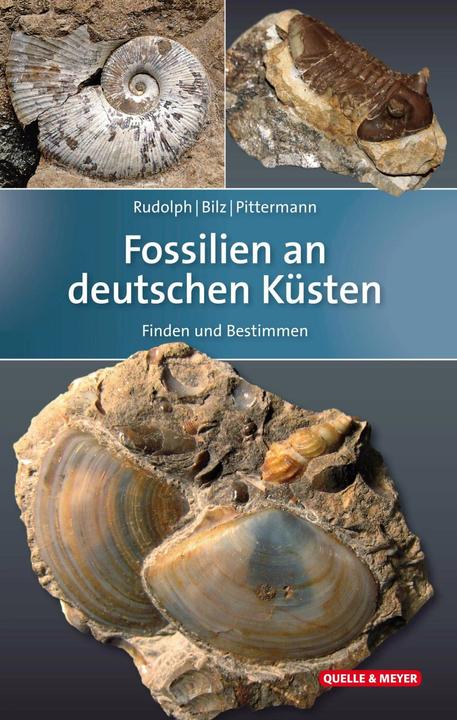 Produktbild Fossilien an deutschen Küsten (Deutsch, Frank Rudolph, 2019)