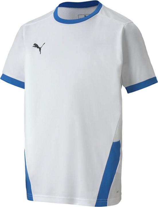 Actual product image Puma teamGOAL 23 Jersey jr-704160 (164)