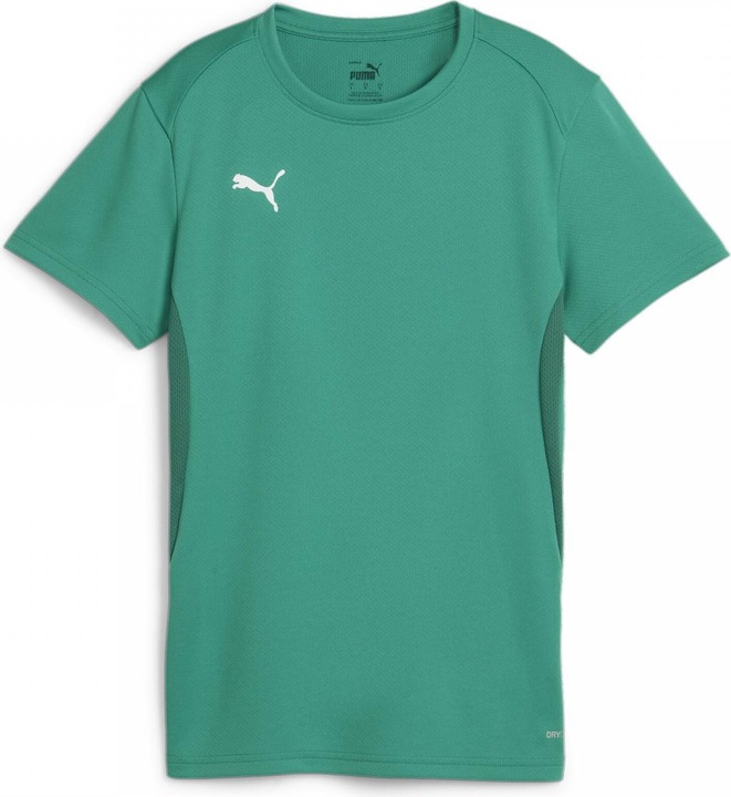 Actual product image Puma teamGOAL Jersey Wmn (XS)