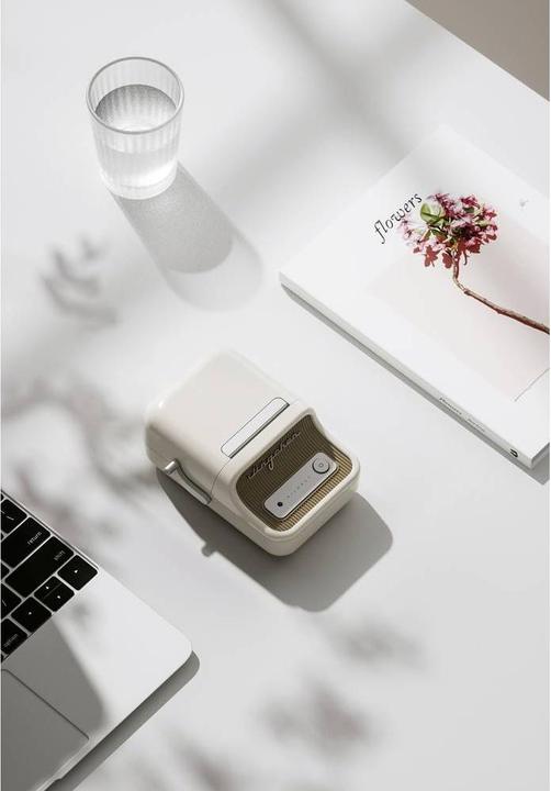 Actual product image Niimbot B21 (203 dpi)