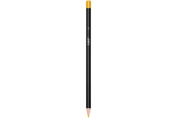 Actual product image Bic Intensity (24x)