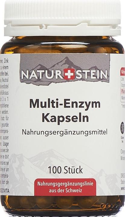 Actual product image Naturstein Multi Enzyme Capsules (100 Piece, Capsules, 155 g)