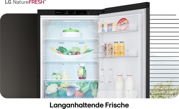 Actual product image LG GBV3100CEP (344 l)