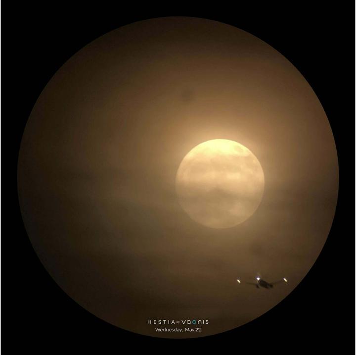 Image du produit Vaonis Hestia Standard Pack