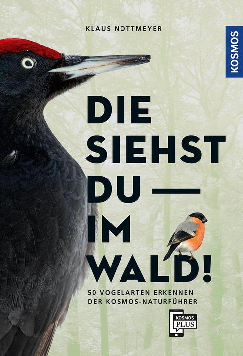 Image du produit Kosmos Die siehst du im Wald! 64 Vogelarten erkennen (Allemand, Klaus Nottmeyer, 2021)